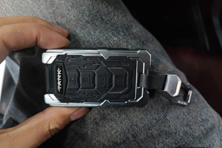 Used Tank 300 2024 2.0T Conqueror