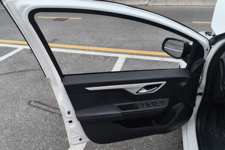 Used SOL E10X 2022 Flower Fairy Style Baby's Breath