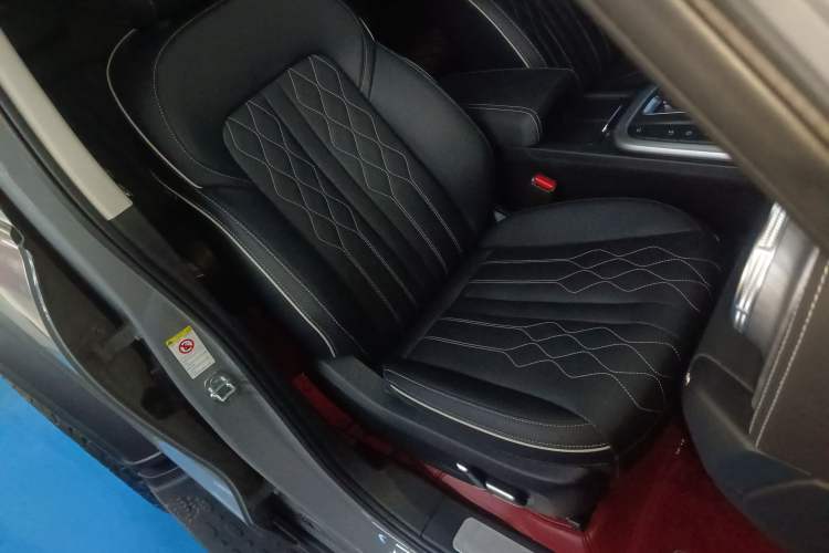 Used Tank 300 2024 2.0T Challenger
