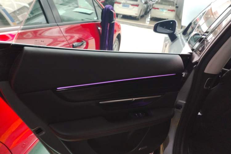 Used XPeng P7 2021 480G Left Rear Door Interior