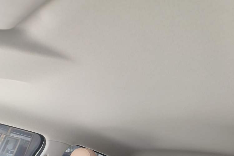 Used Leapmotor T03 2024 310 Comfort Edition Headliner