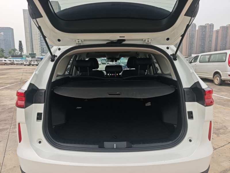 Used Haval H6 2024 1.5T Two-Wheel-Drive Classic Edition — 18