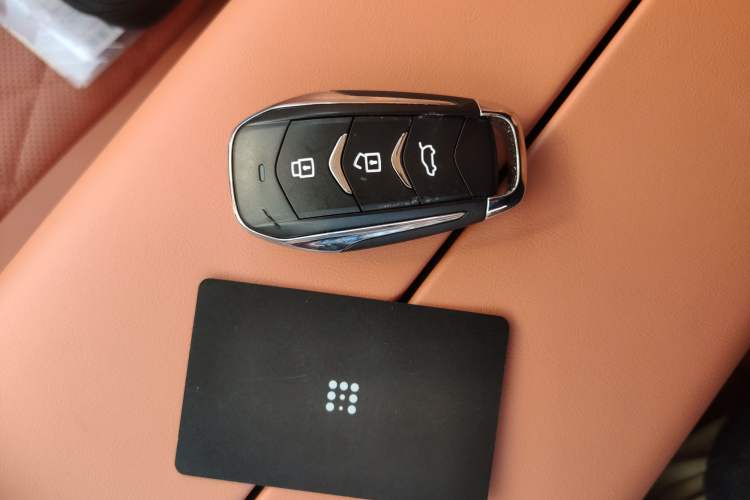 Used Landian E5 PLUS 2026 Model 165km Long-Range First-Adoption Version Ultra 5-seater
