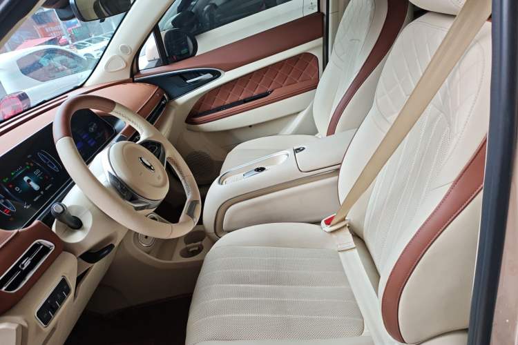 Used ORA Good Cat 2023 401 km Standard Range Premium Version Lithium Iron Phosphate Left Front Seat