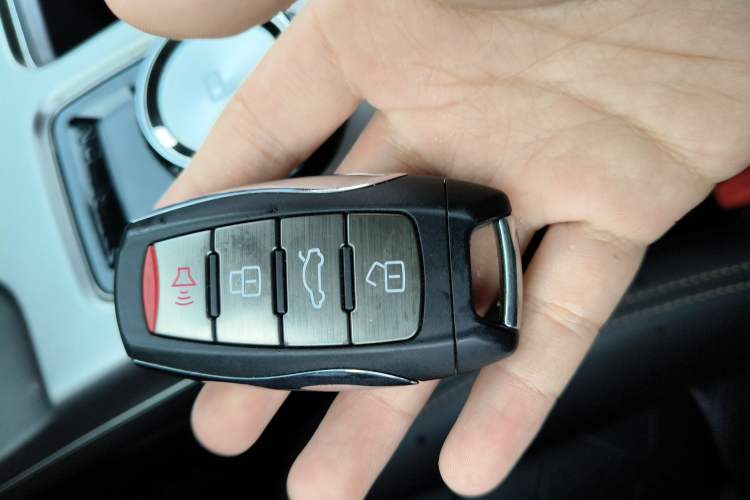 Used Haval DARGO 2024 2.0T DCT Chinese Rural Dog Edition
