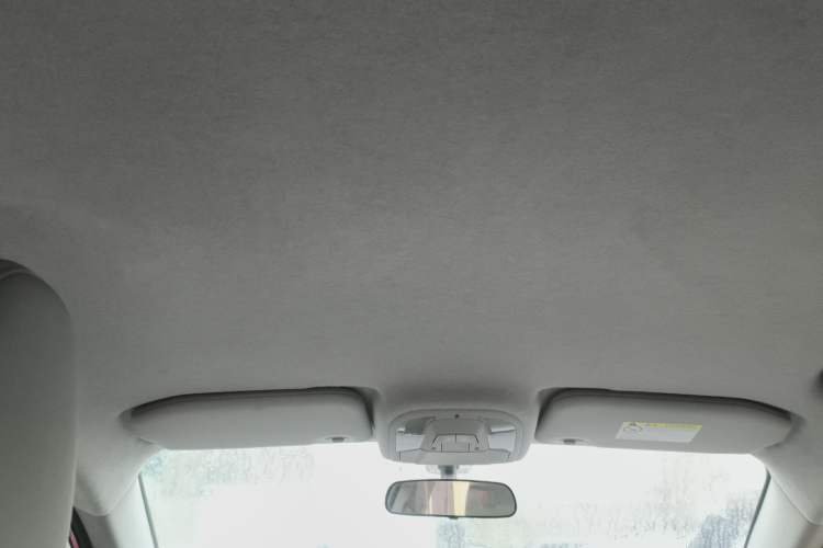 Used BYD Yuan Pro 2021 401 km Luxury Version Headliner