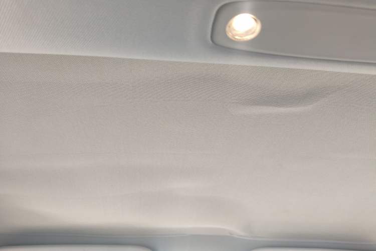 Used Tesla Model 3 2022 Performance High-Performance All-Wheel-Drive Version Headliner