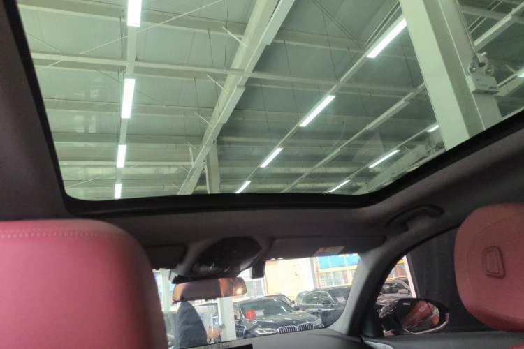 Used BMW 5 Series 2025 525Li M Sport Package Headliner