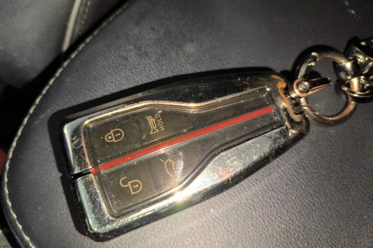 Used Hongqi HS5 2019 2.0T Smart Connect Flagship Edition