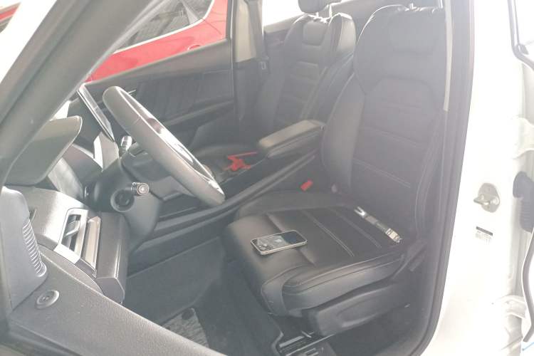 Used BYD e2 2019 Long-Range Version Yao·Luxury Trim Left Front Seat