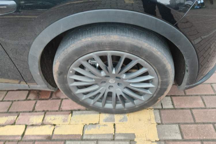 Used Leapmotor C11 2023 Pure Electric 500 Comfort Edition
