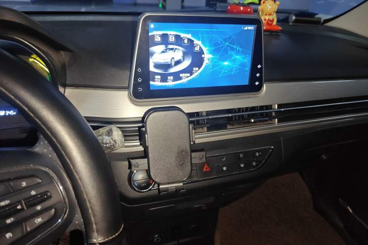 Used Dayun Yuehu 2022 30.66 kWh Two-Wheel Drive Standard Version