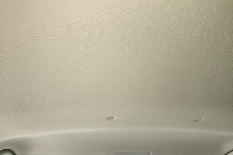 Used Toyota RAV4 2023 2.0L CVT Two-Wheel Drive Urban Edition Headliner