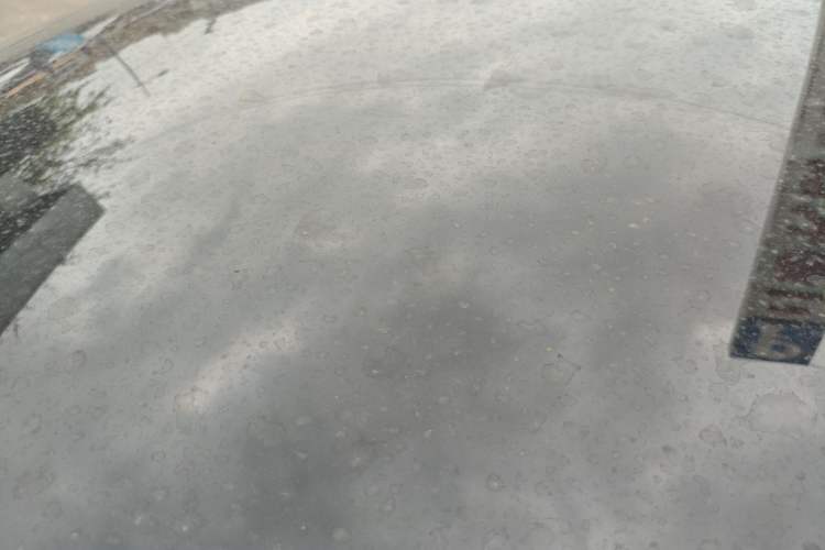 Used Tesla Model Y 2021 Standard Range Rear-Wheel Drive Version Roof