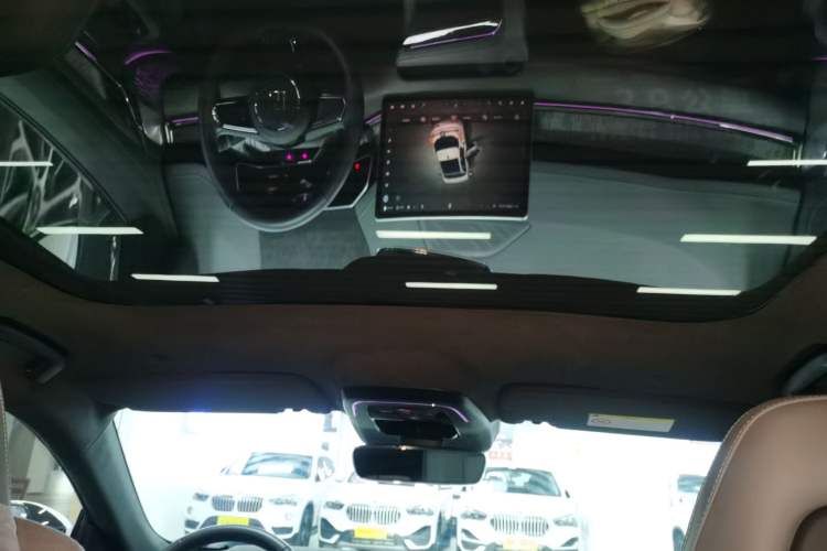 Used Zeekr 001 2021 Ultra-Long Range Single-Motor WE Edition Headliner