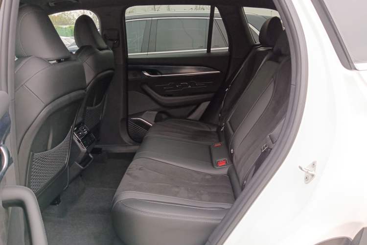 Used Geely Auto Monjaro L 2024 2.0TD High-Power Automatic Two-Wheel Drive Skyline Edition
