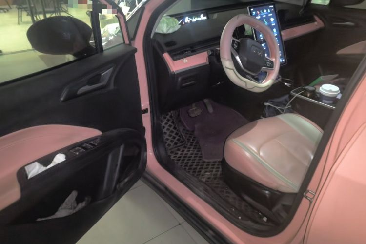 Used NETA V 2021 Witch Edition Driver Seat