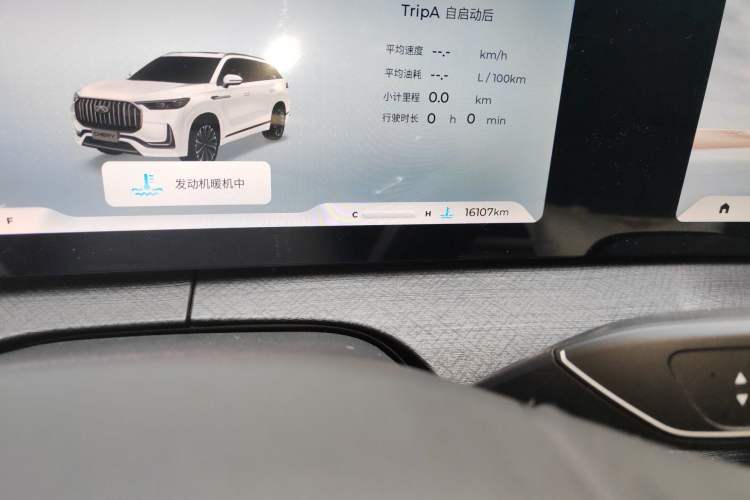 Used Chery Tiggo 9 2023 2.0T Automatic Two-Wheel Drive Luxury Edition 5 Seats Odometer Close Up