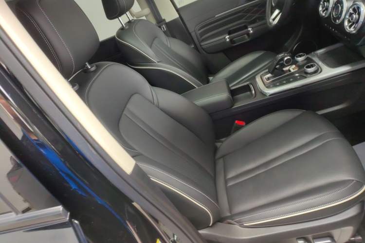 Used Tank 300 2024 2.0T Conqueror