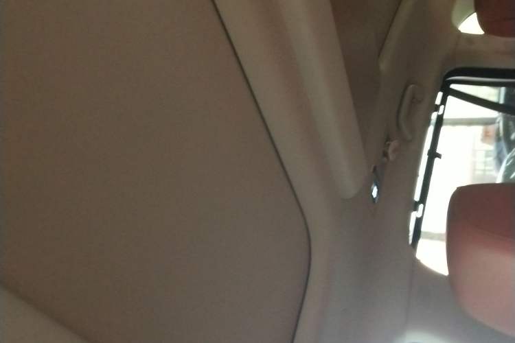 Used Wey Lanshan 2025 Four-Wheel Drive Max Headliner