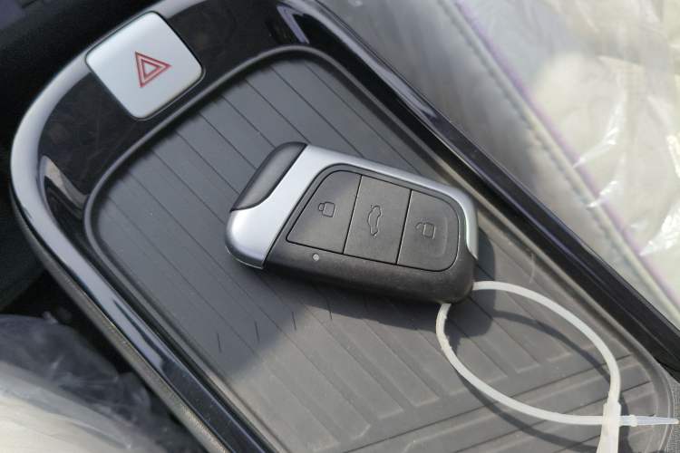 Used Chery Little Ant 2024 Facelifted 321km Beloved Edition Vehicle Key