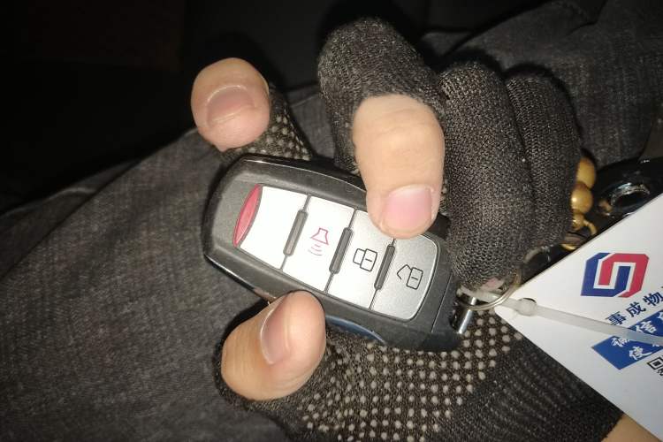 Used Great Wall Poer 2023 2.0T Commercial Version Automatic Diesel 4x4 Elite Long-Box GW4D20M