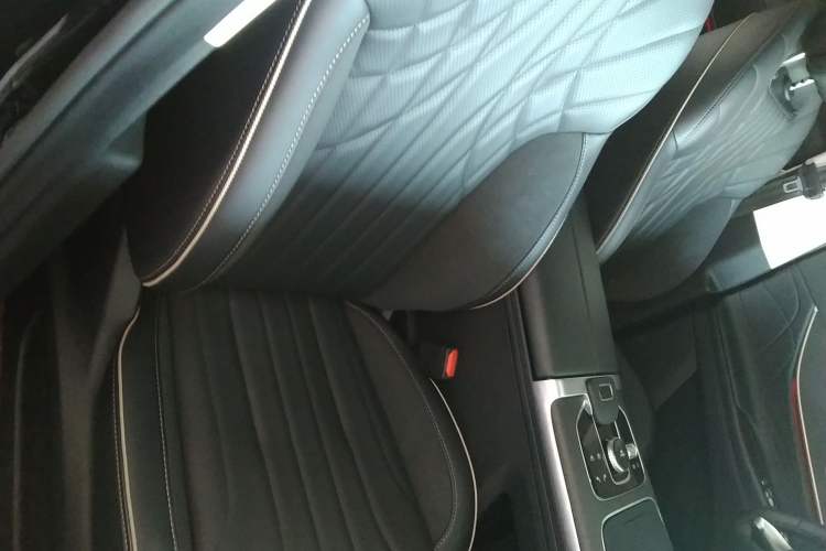 Used Chery Tiggo 9 2023 2.0T Dual-Clutch Two-Wheel Drive Luxury Edition 5 Seats Right Front Seat