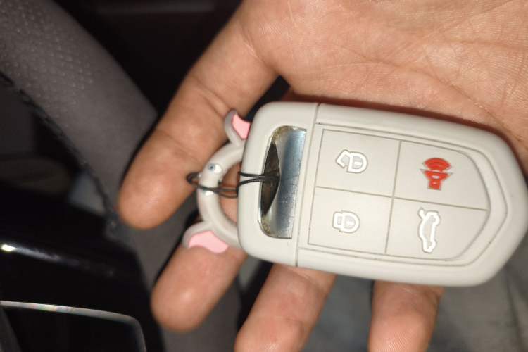 Used BORGWARD BX5 2017 25TGDI Automatic Four-Wheel Drive Smart Enjoyment Model
