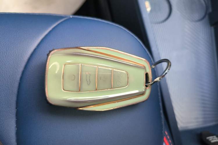 Used Geometry E Firefly 2022 401 km Linglong Tiger 4 Seats Interior 1