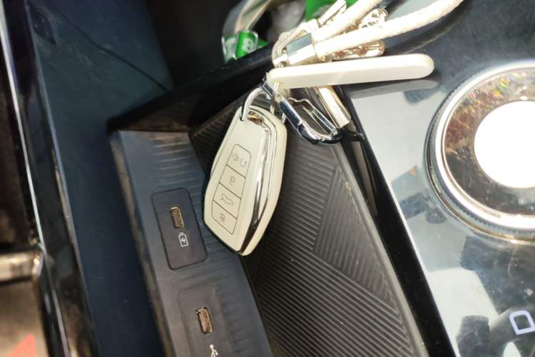 Used Geometry E Firefly 2022 320KM Cute Tiger 4-Seater