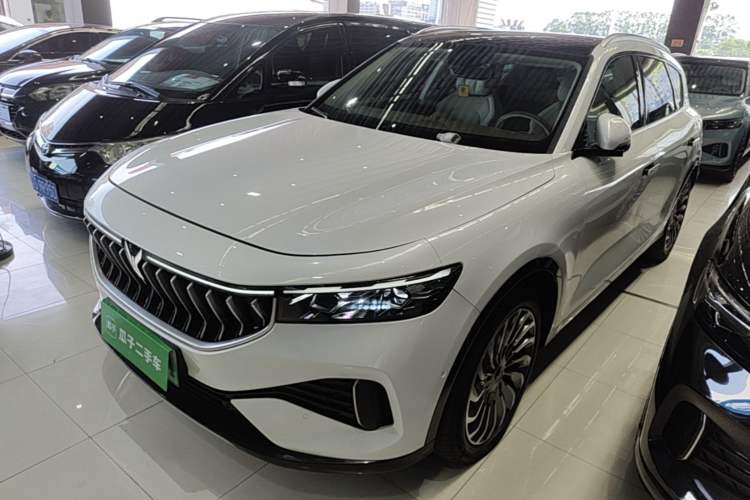 Used VOYAH FREE 2021 Four-Wheel Drive Standard Range-Extended Exclusive Luxury Package