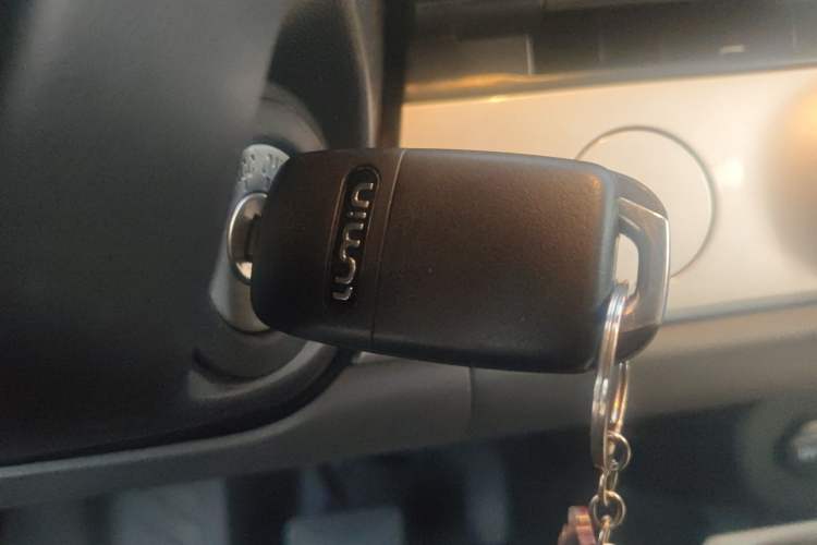 Used CHANGAN NEVO Lumin 2024 130km Qingyue Version