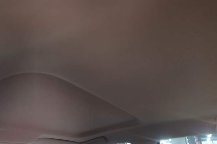 Used Buick GL8 2023 Land Executive Class Comfort Model Headliner