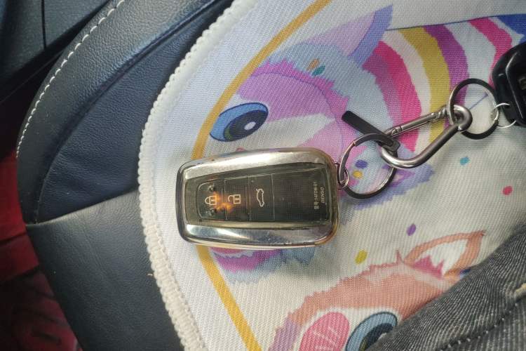 Used Toyota RAV4 2016 2.0L CVT Two-Wheel Drive Smart Edition China V Standard Vehicle Key