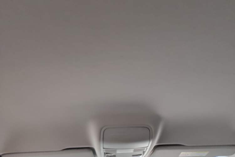Used Skoda Octavia 2022 1.5L Automatic Comfort Edition Headliner