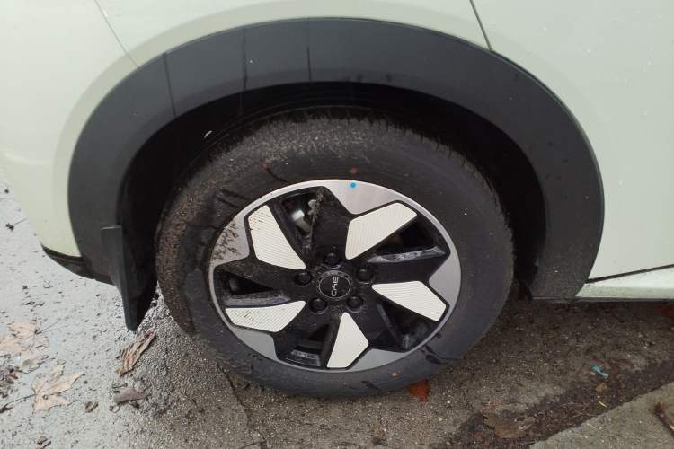 Used BYD Dolphin 2025 420km Free Edition