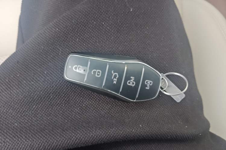 Used BYD Xia 2025 DM-i 1.5T 180km Excellence Model
