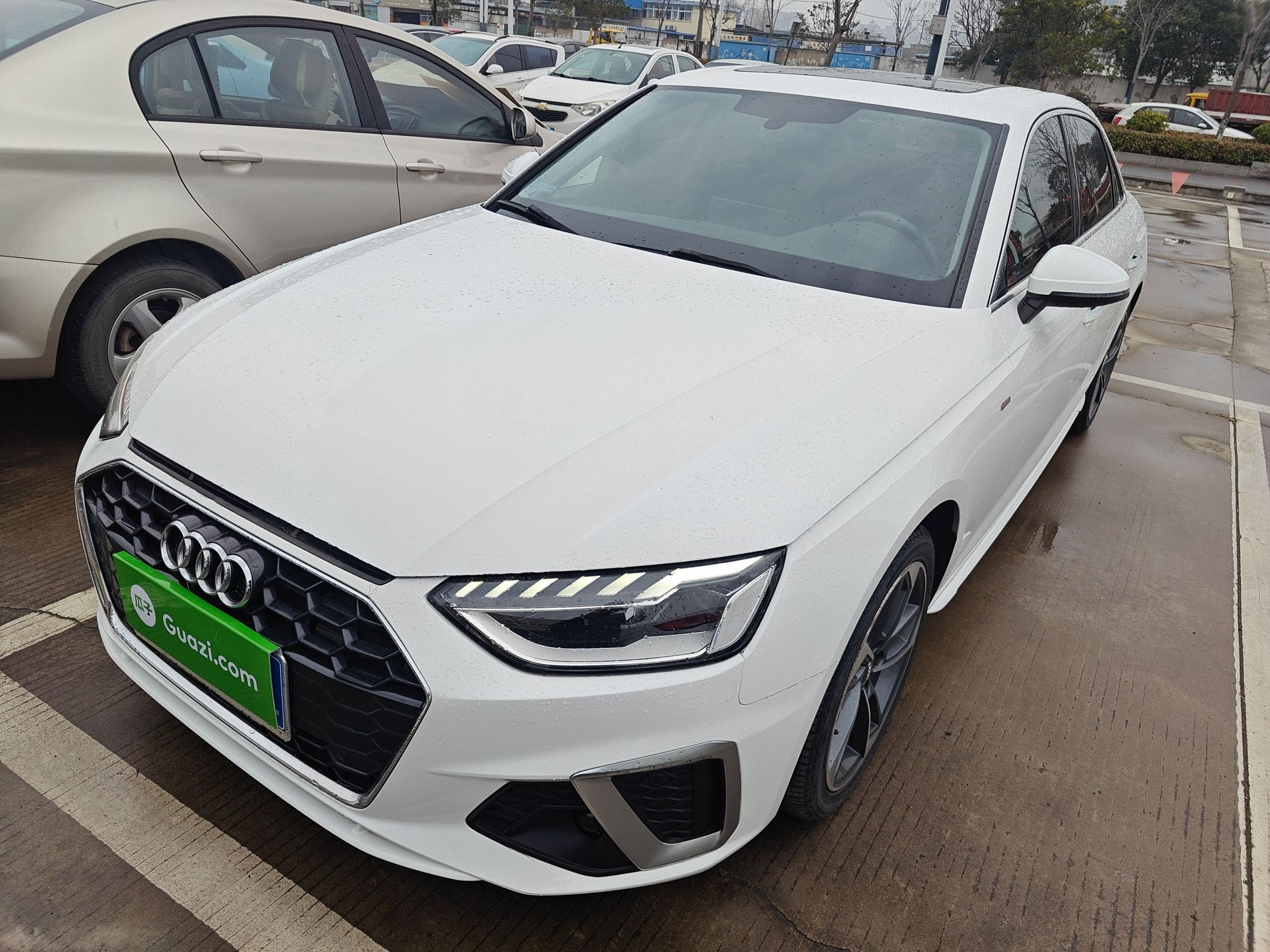 Parte inferior delantera