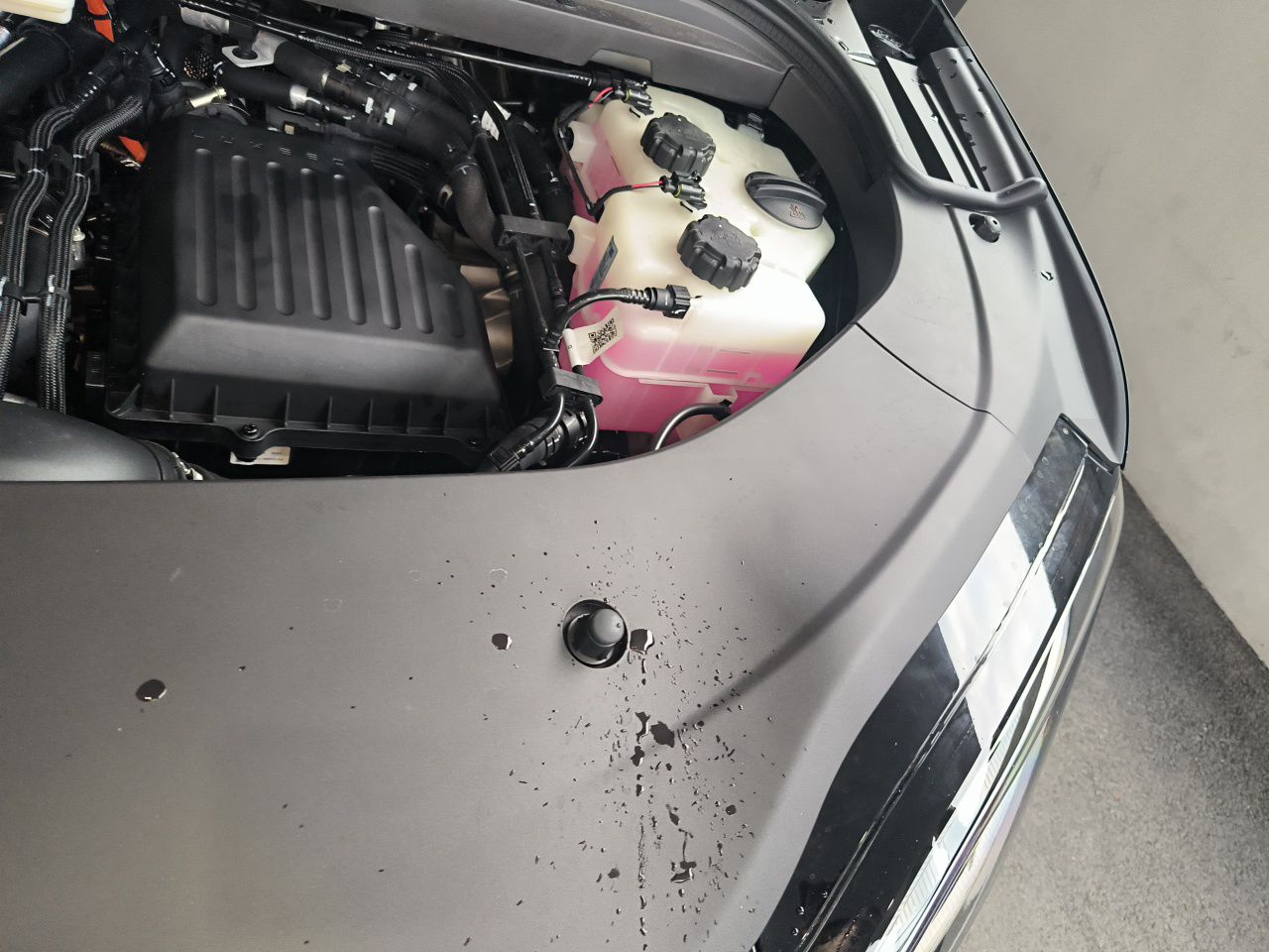  V9