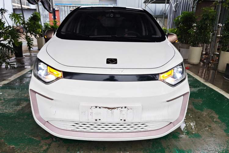 Used SOL E10X 2022 Flower Fairy Design Dandelion