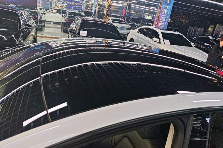 Used Tesla Model Y 2021 Standard Range Rear-Wheel Drive Version Roof