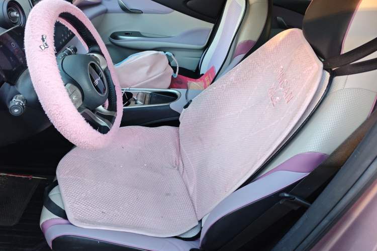 Used BYD Dolphin 2023 420 km Free Version Left Front Seat