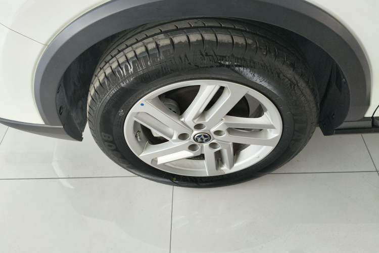 Used Venucia T60EV 2020 AI Enjoyment Model