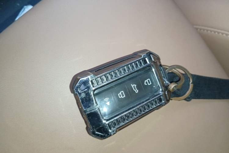 Used Tank 500 New Energy 2023 Hi4-T
