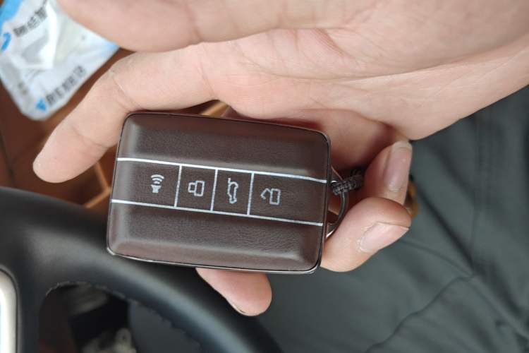 Used Tank 500 New Energy 2026 Model—Hi4-Z Smart Enjoyment Version
