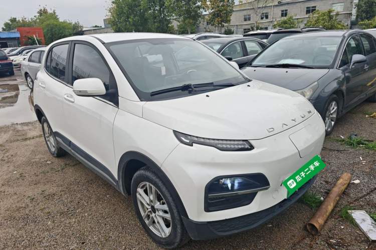 Used Dayun Yuehu 2022 30.66 kWh Two-Wheel Drive Standard Version