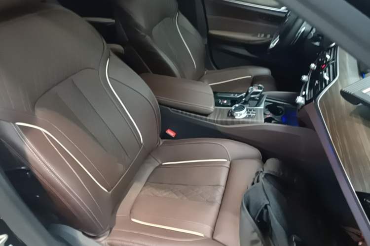 Used BMW 5 Series 2020 530Li Luxury Edition Premium Package
