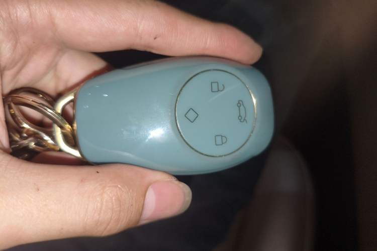 Used Leapmotor C11 2021 Revised Version Luxury Edition