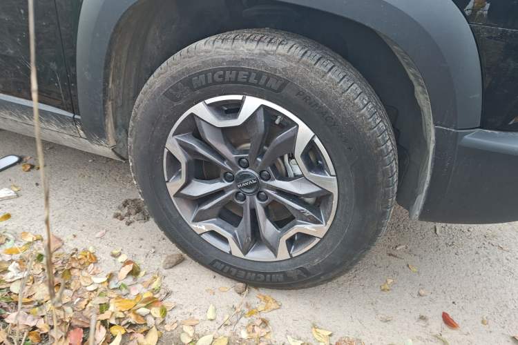 Used Haval DARGO 2024 2.0T DCT Chinese Rural Dog Edition
