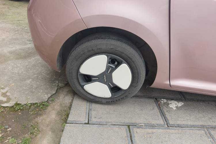 Used Qiyuan Lumin 2022 210km Sweet Edition
